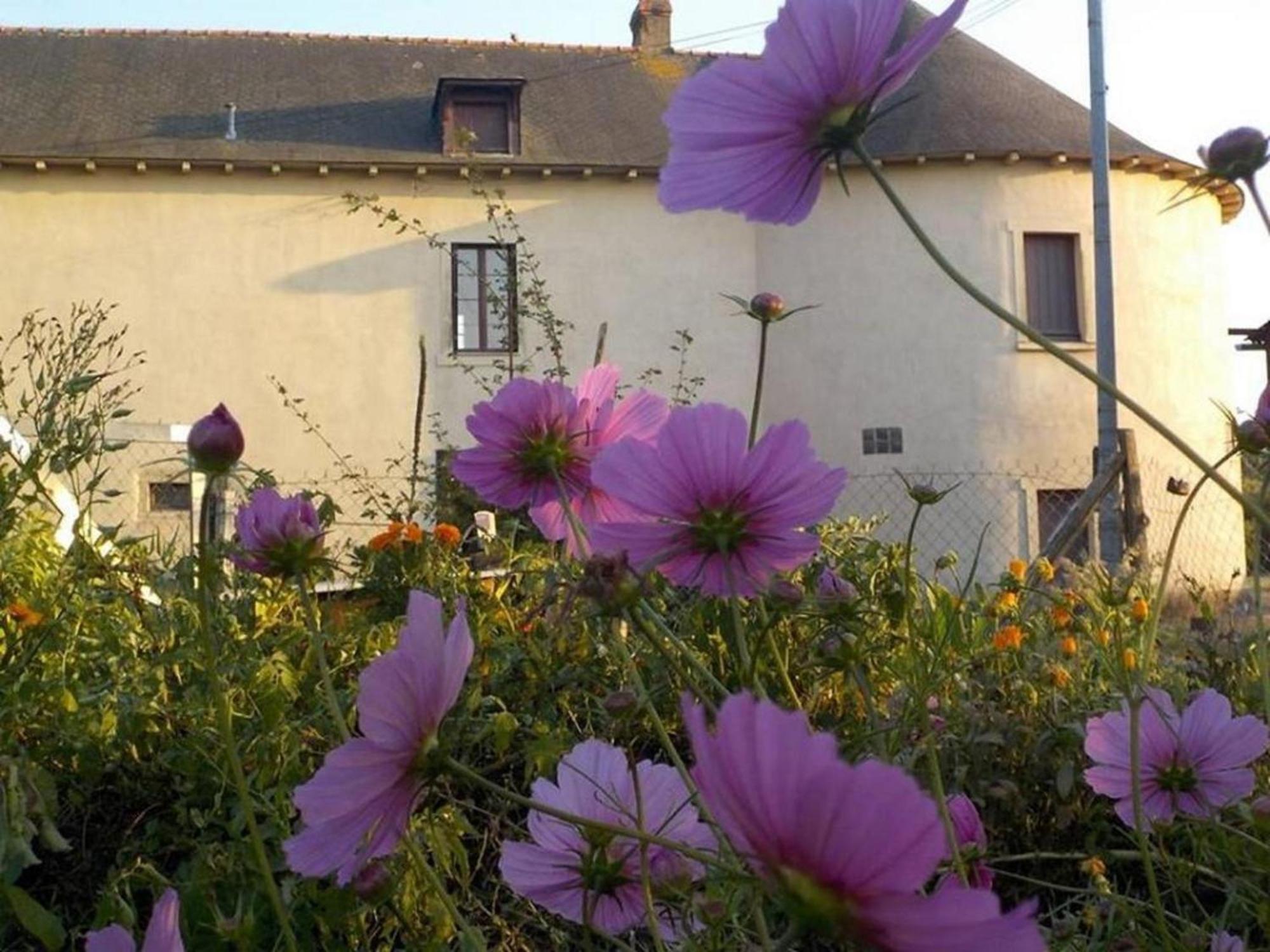 Manoir De La Guignardiere - Charme Et Douceur Chavagne Екстериор снимка